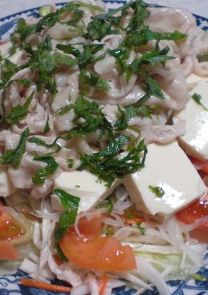 この一皿で満足！　豚肉豆腐サラダおかず☆-レシピのメイン写真