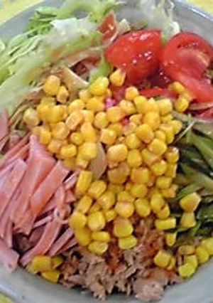 トマトつゆのサラダそうめん-レシピのメイン写真