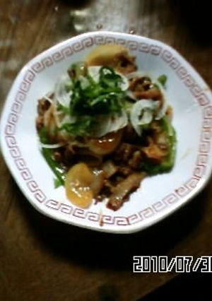 ❖野菜もたっぷり焼肉-レシピのメイン写真