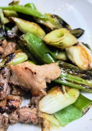 羆 ヒグマ肉のネギ塩焼き /熊肉を気軽に-レシピのメイン写真