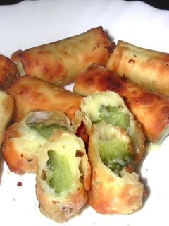 ゴーヤとチーズの餃子の皮包み焼き-レシピのメイン写真