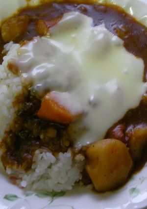ゴーヤのチーズトッピングカレー-レシピのメイン写真