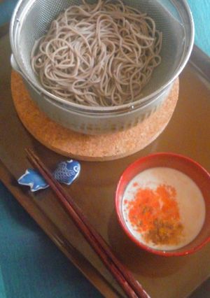 ざるカレー蕎麦(素麺でも)-レシピのメイン写真