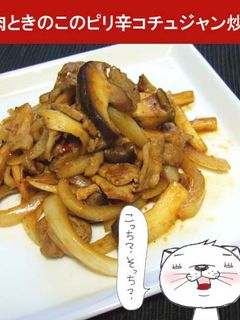 豚肉ときのこのピリ辛コチュジャン炒め-レシピのメイン写真