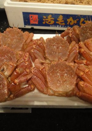 毛ガニの美味しい蒸し方（茹で方）♪-レシピのメイン写真