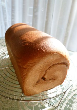 ふわふわココアチョコチップパン-レシピのメイン写真