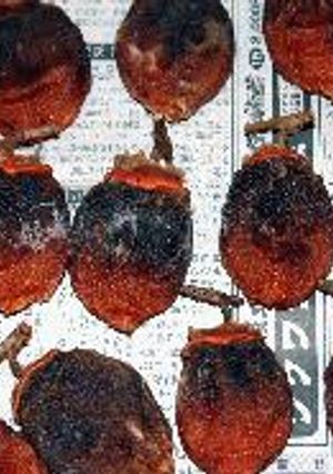 干し柿の作り方-レシピのメイン写真