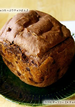 HBでふんわりチョコパン♪-レシピのメイン写真