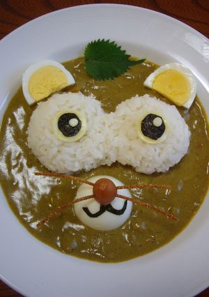 たぬきでドロン☁デコカレー-レシピのメイン写真