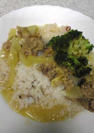 冷やし和風カレー　豚肉と玉ねぎで簡単！-レシピのメイン写真