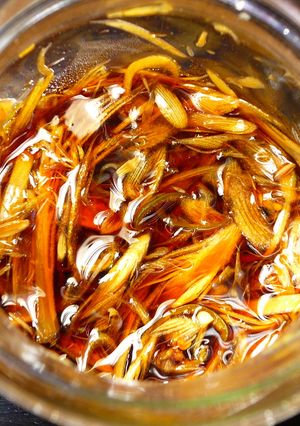 みょうが辛醤油漬け-レシピのメイン写真