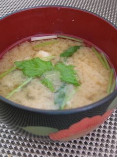 えのきとみつばのお味噌汁♪-レシピのメイン写真