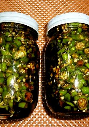 青唐辛子の醤油漬け～♪-レシピのメイン写真