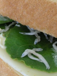 ちりめんじゃこサンド-レシピのメイン写真