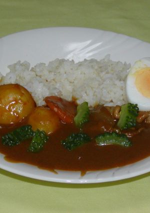酷暑を乗り切るゴーヤカレー-レシピのメイン写真