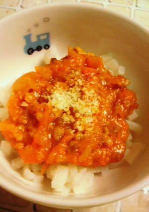離乳食*美味しいハヤシライスソース-レシピのメイン写真