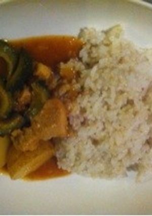 夏バテ防止！ゴーヤとじゃが芋のカレー-レシピのメイン写真