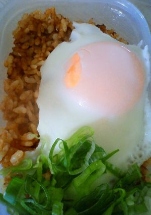 ＊こんなのどう？カレーに目玉焼きと長葱＊-レシピのメイン写真