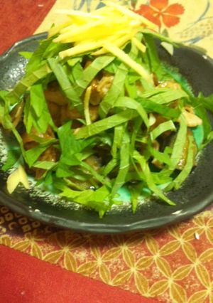 薬味たっぷり★茄子と豚肉炒め-レシピのメイン写真