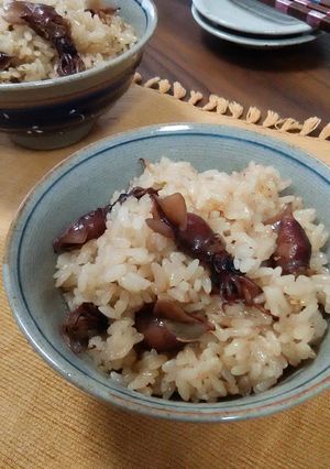 これもイカ飯Ⅱ◆ホタルイカです♪-レシピのメイン写真