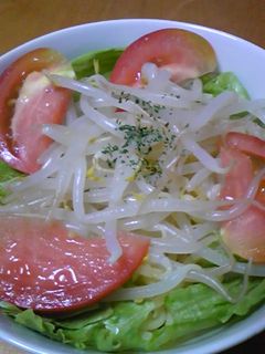野菜たっぷり冷麺-レシピのメイン写真