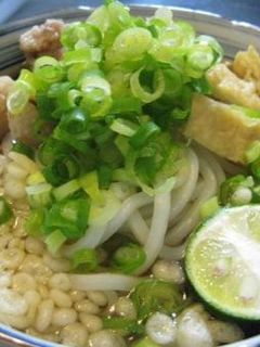 暑い日の定番☆冷やしうどん☆-レシピのメイン写真