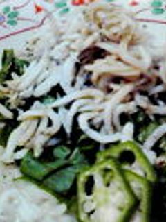 ネバネバ野菜としらすのご飯-レシピのメイン写真