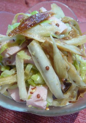 パリパリごぼうとキャベツのさっぱりサラダ-レシピのメイン写真