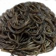 ホタルイカの黒作りパスタ
