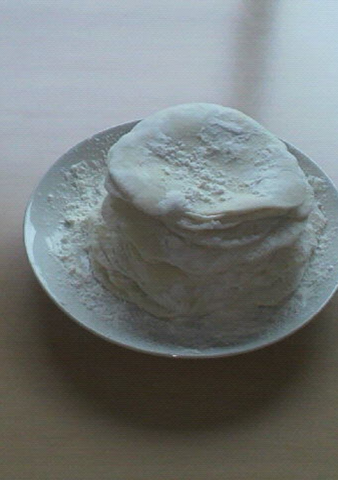 ＊もちもち☆手作り餃子の皮＊-レシピのメイン写真