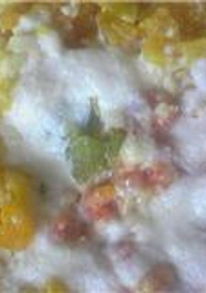離乳食中期後期／高野豆腐グラタン風-レシピのメイン写真