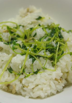 炊飯器で簡単！あさりと豆苗のピラフ-レシピのメイン写真