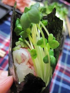 ネギトロまき巻き-レシピのメイン写真