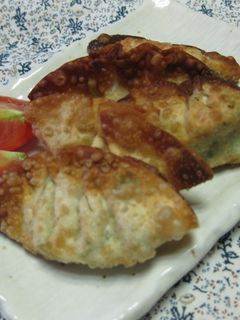 ★ゴーヤとツナの餃子★-レシピのメイン写真