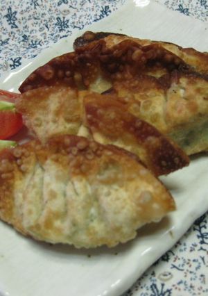 ★ゴーヤとツナの餃子★-レシピのメイン写真