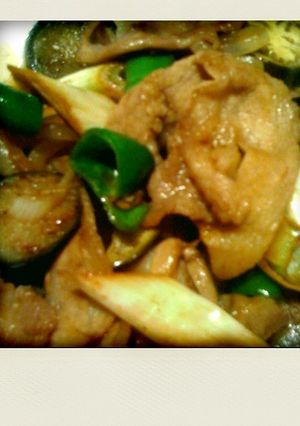 炒めるだけッ！　肉野菜炒め！！！-レシピのメイン写真