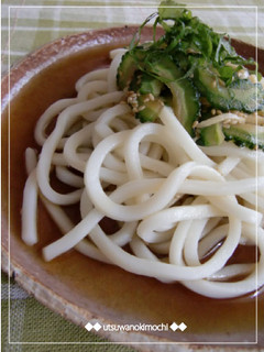 香味★ゴーヤ冷やしうどん-レシピのメイン写真