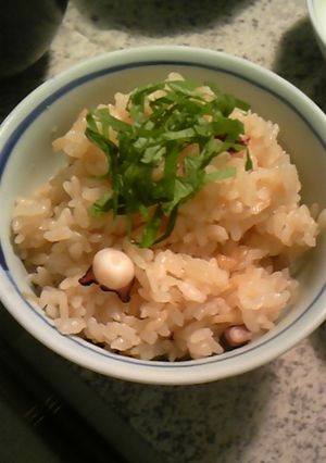 たこ飯-レシピのメイン写真