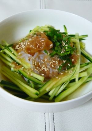 しらたきで♬梅冷麺✿-レシピのメイン写真