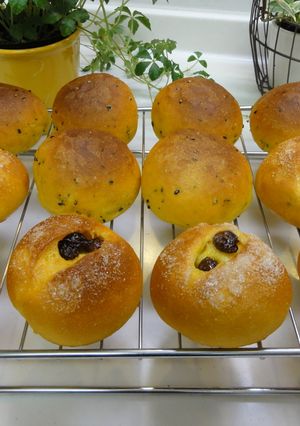 自然な甘さ！はちみつかぼちゃパン-レシピのメイン写真