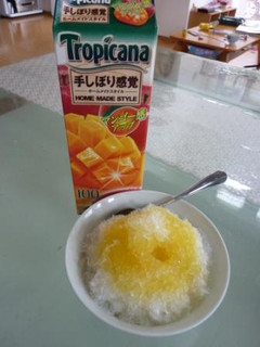 トロピカルカキ氷-レシピのメイン写真