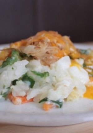 ワンコ用 とろ~り炒飯-レシピのメイン写真