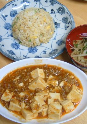 簡単だけど、本格麻婆豆腐-レシピのメイン写真