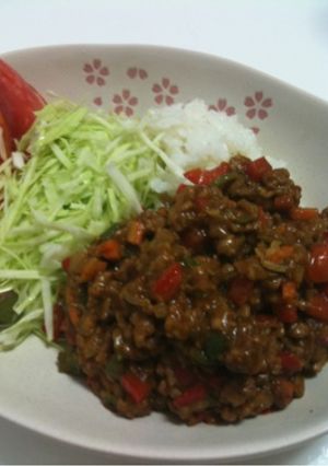 野菜たっぷり豆乳で作るキーマカレー-レシピのメイン写真