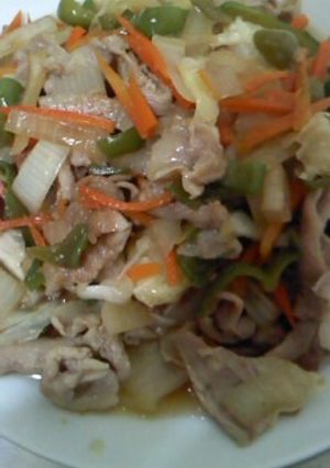 〈簡単〉肉野菜炒め-レシピのメイン写真