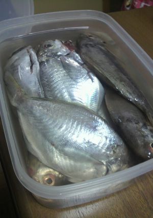 絶対教えたくない!母の味♪魚のたて塩-レシピのメイン写真