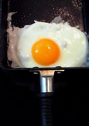 四角い目玉焼き(笑)-レシピのメイン写真