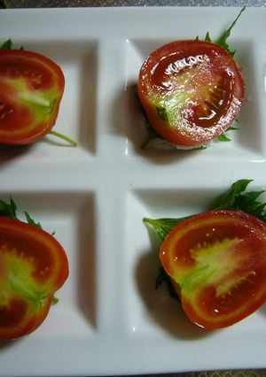 すしのこ　de　トマトの前菜-レシピのメイン写真