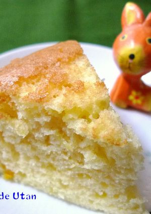 炊飯器deオレンジピールケーキ☆-レシピのメイン写真
