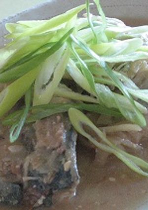 焼きサバの味噌煮★-レシピのメイン写真